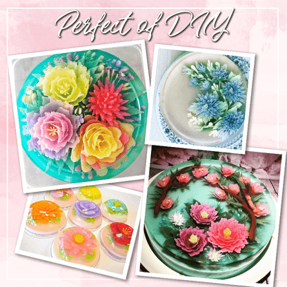 3D Jelly Gelatin Art Starter Kit